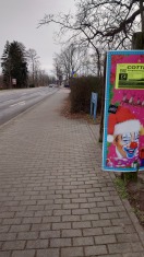 Foto: Ungenügendes Lichtraumprofil - Heckenrückschnitt erforderlich 